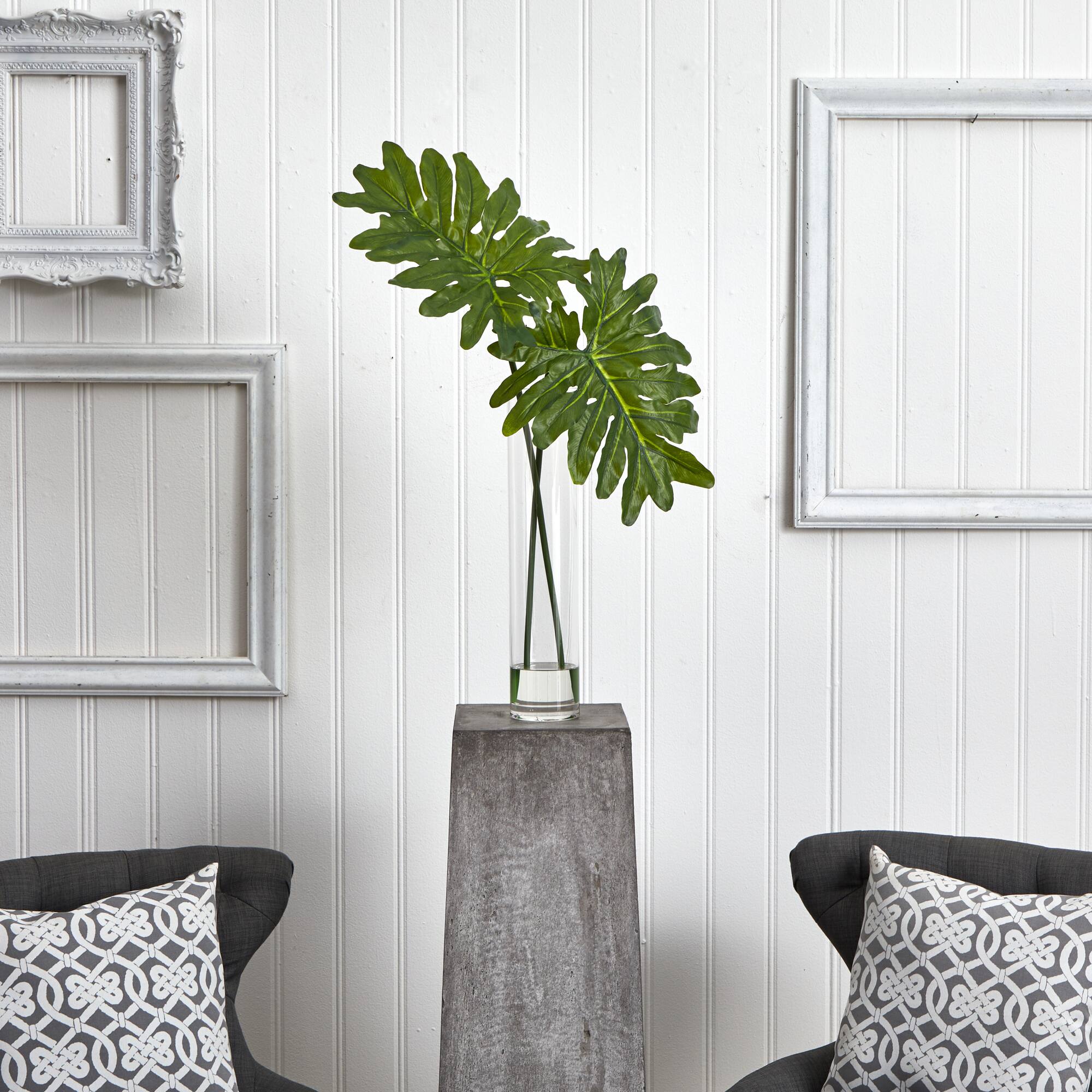 2.5ft. Philodendron Leaves in Cylinder Glass Vase